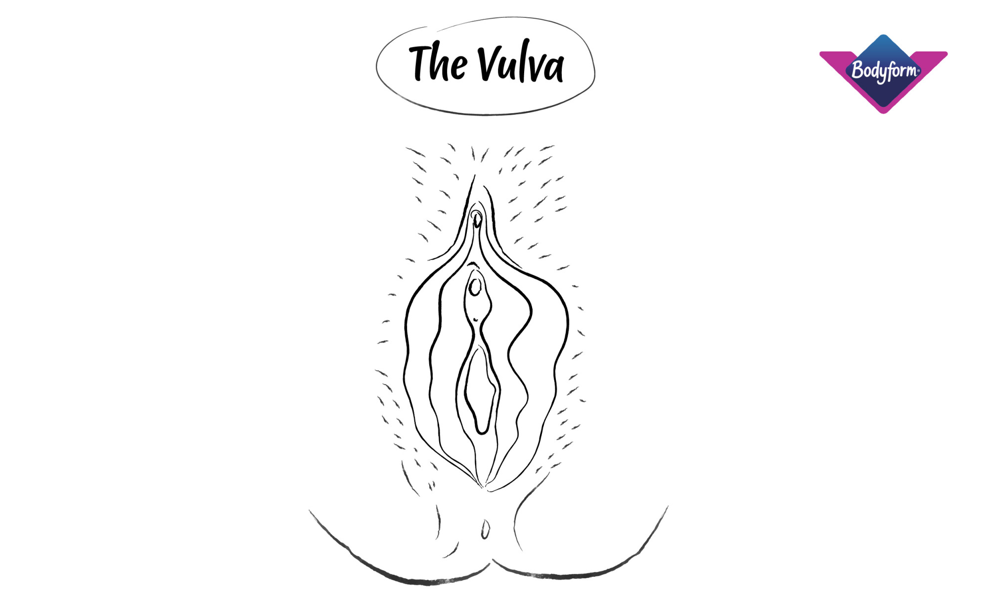 Black and white illustration of a vulva